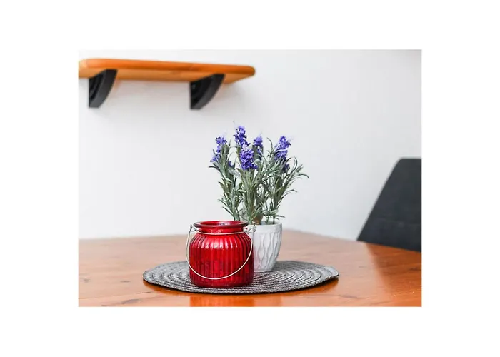 Friesengold Modern Retreat