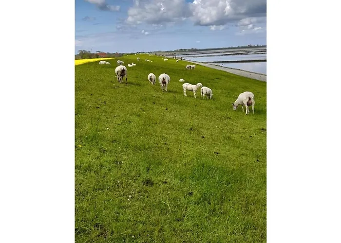 Friesengold Modern Retreat * 贝塞尔